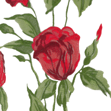 Broderies - Tous